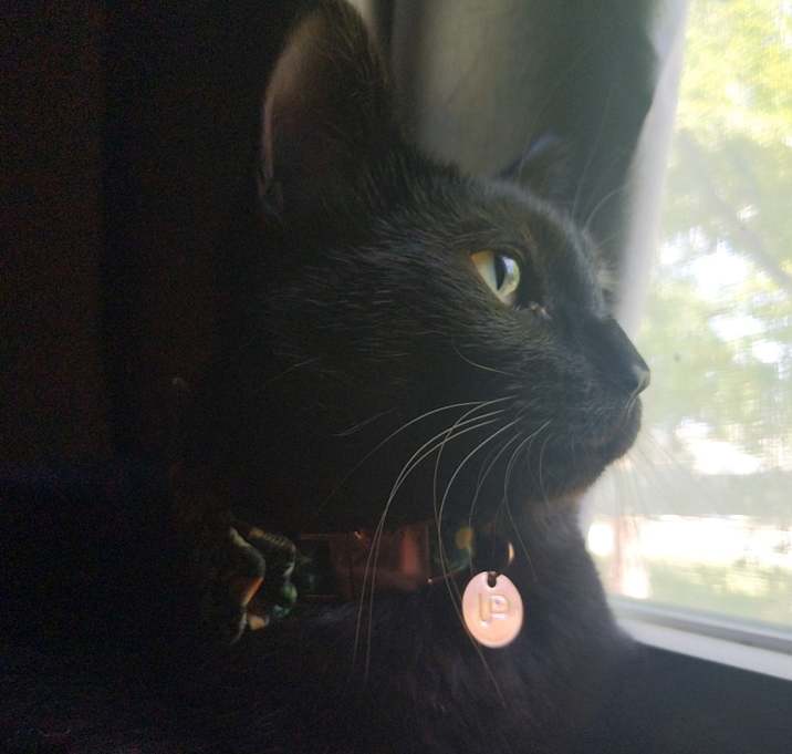Photo of Sophie
