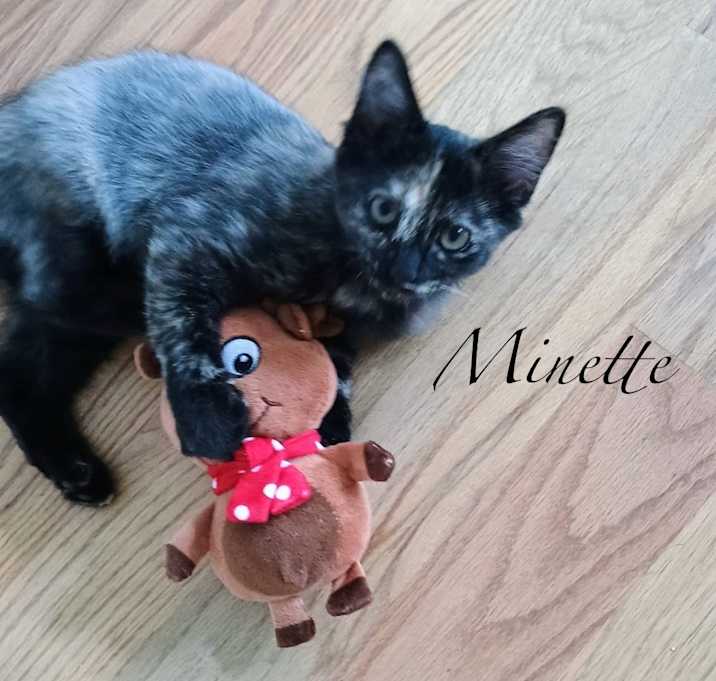 Photo of Minette