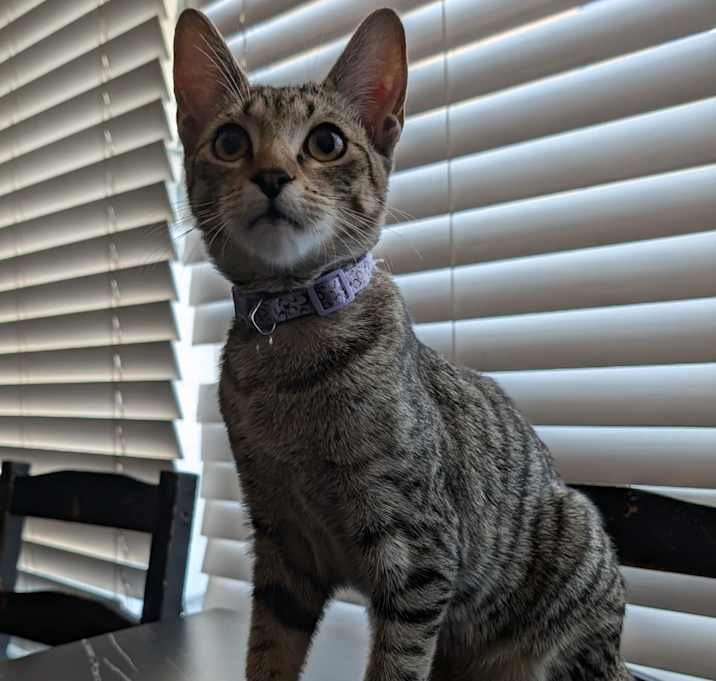 Photo of Sally