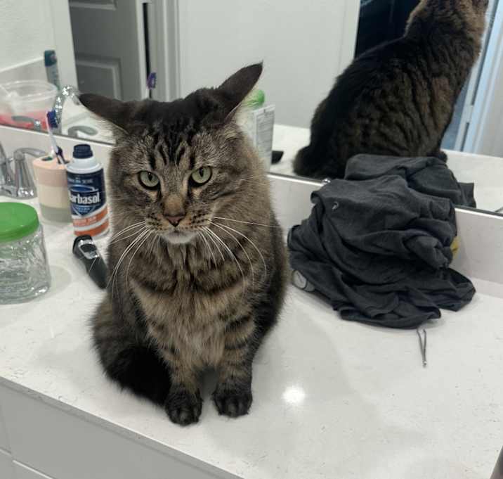 Photo of Duncan