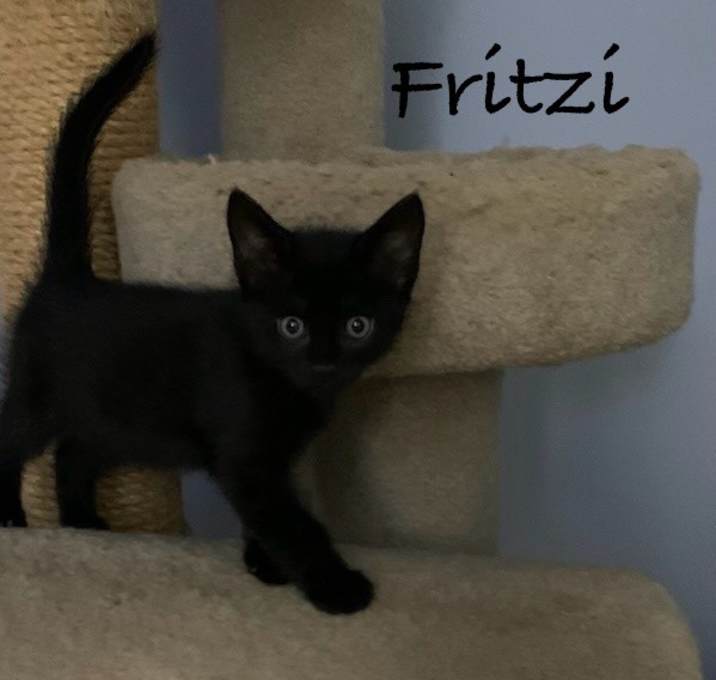Photo of Fritzi