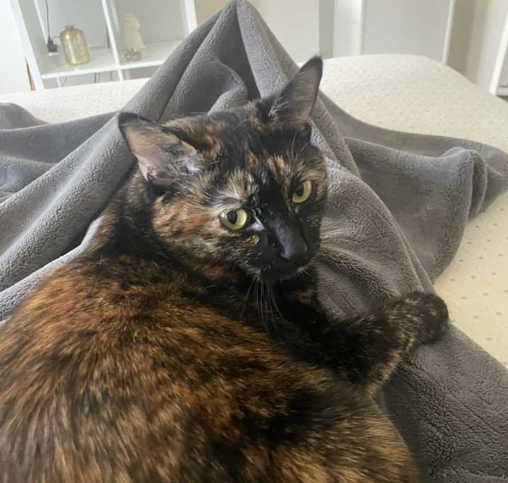 Photo of Talula
