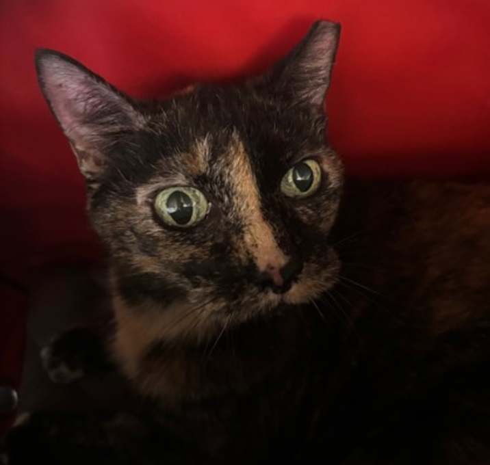 Photo of Baby