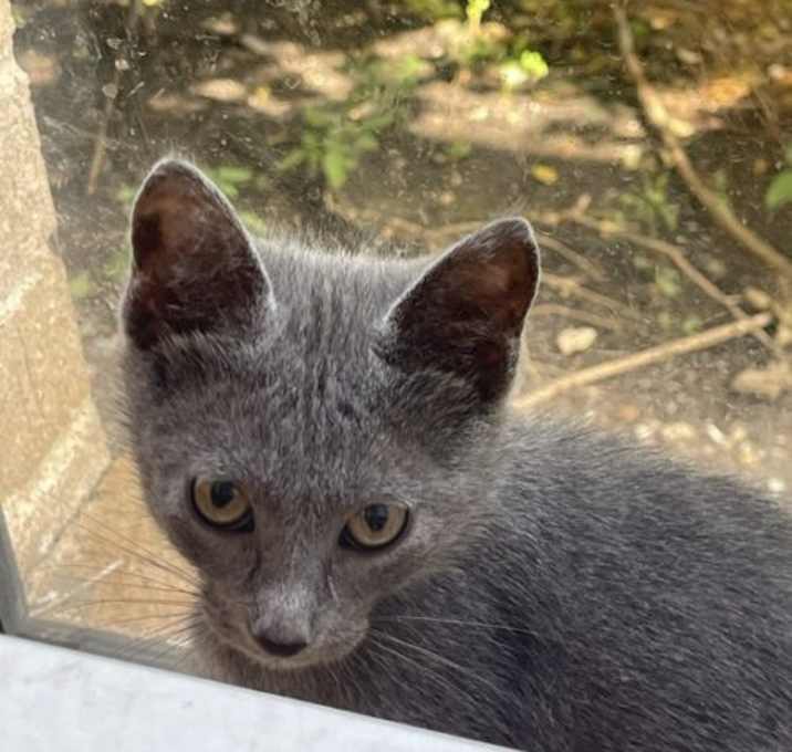 Photo of Tatiana