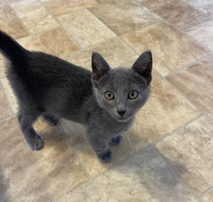 Photo of Boris