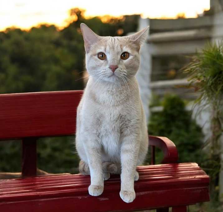 Photo of Molly 