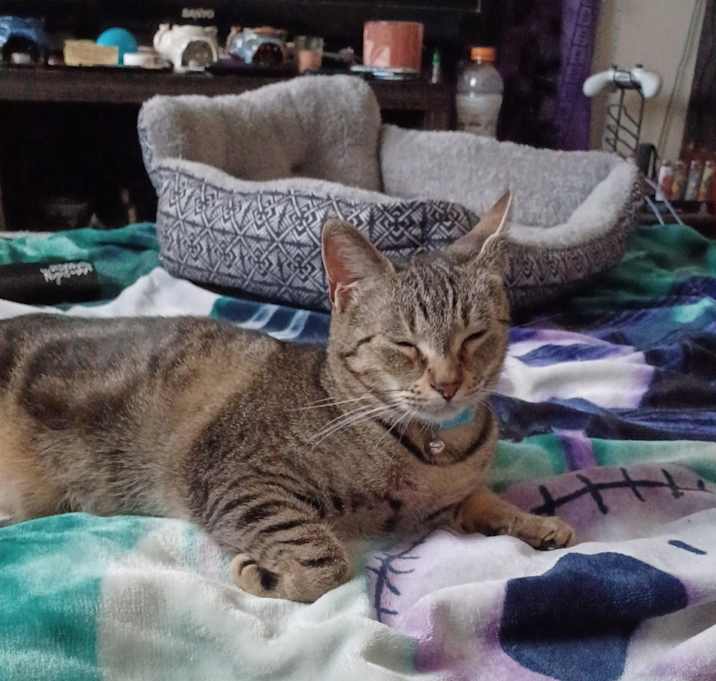 Photo of Freya