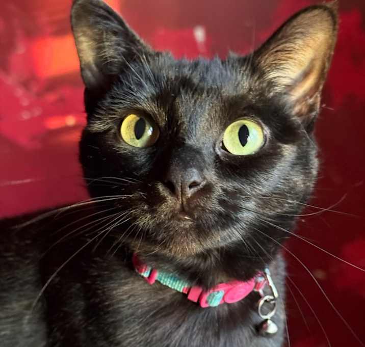 Photo of Lele
