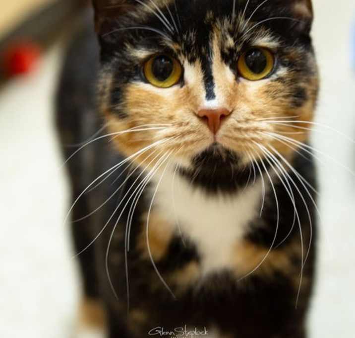 Photo of Molly