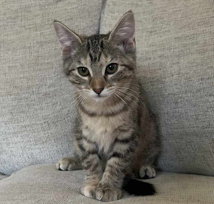 Photo of Lily