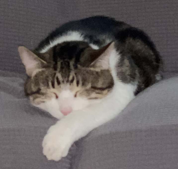 Photo of Oliver