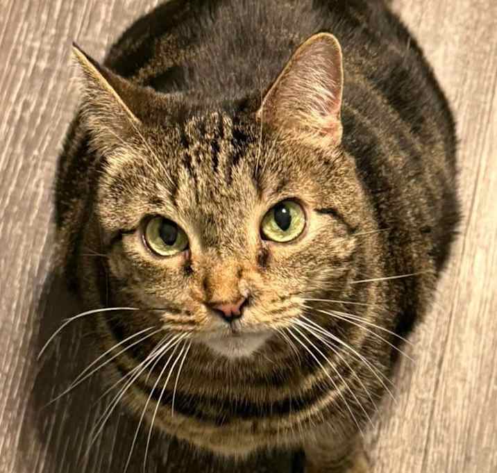 Photo of Meeka