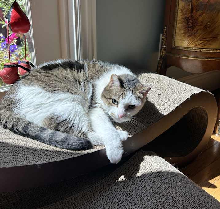 Photo of Lisa