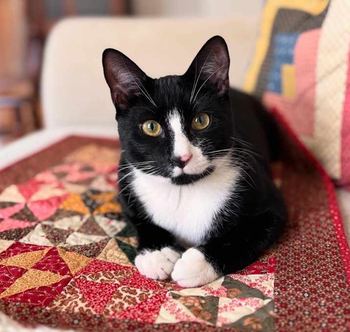 Photo of Silas