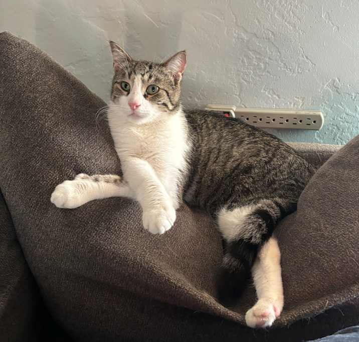 Photo of Momo