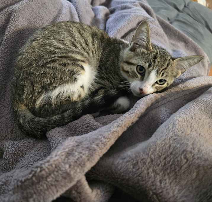 Photo of Unnamed