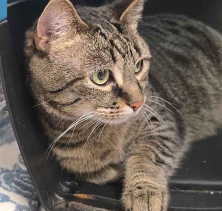 Photo of Luna