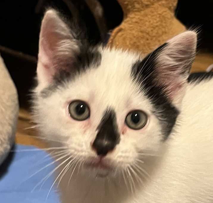 Photo of Sebastian