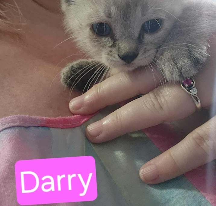 Photo of Darry