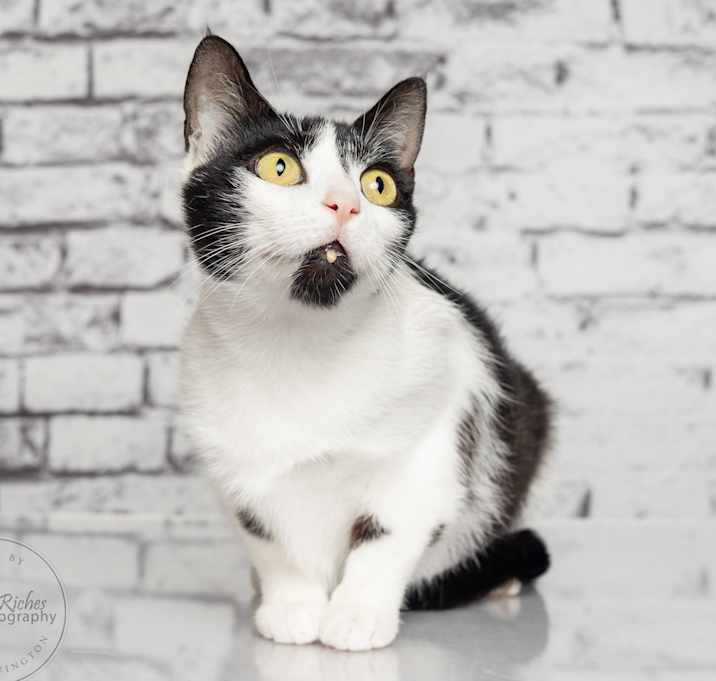 Photo of Dottie