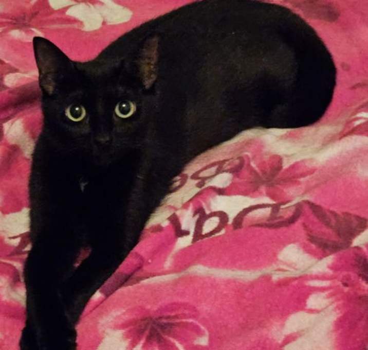 Photo of HONEY
