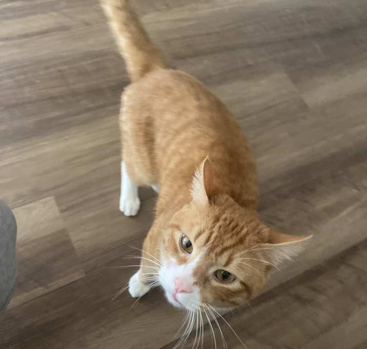 Photo of Moti