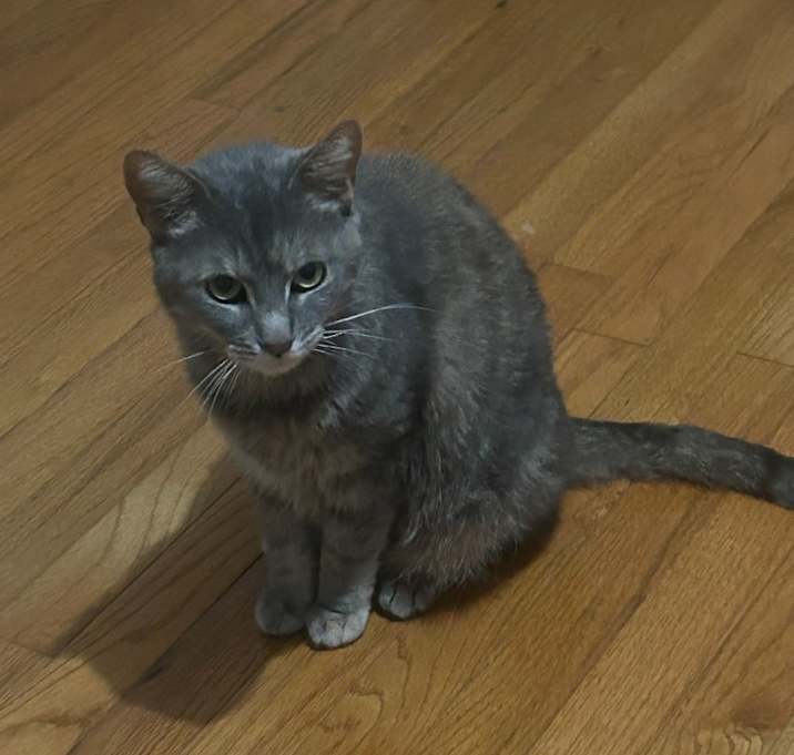 Photo of Pheobe