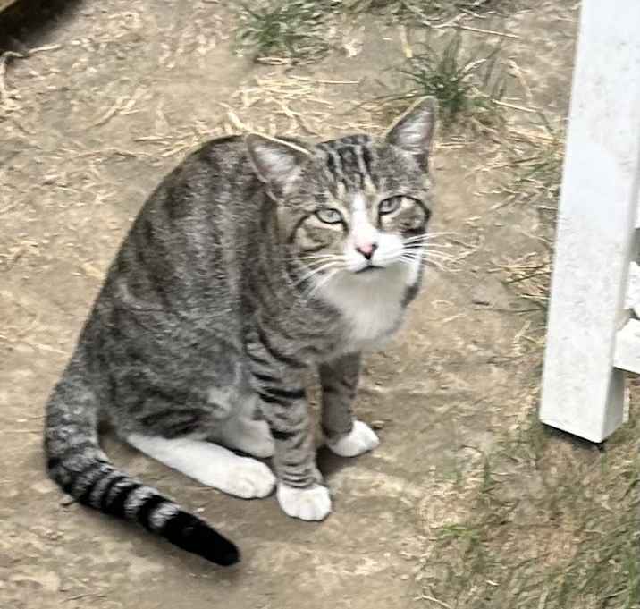 Photo of Timmy