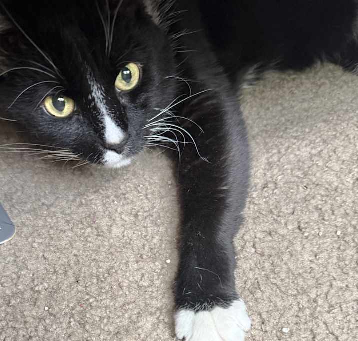 Photo of Tux Jaime