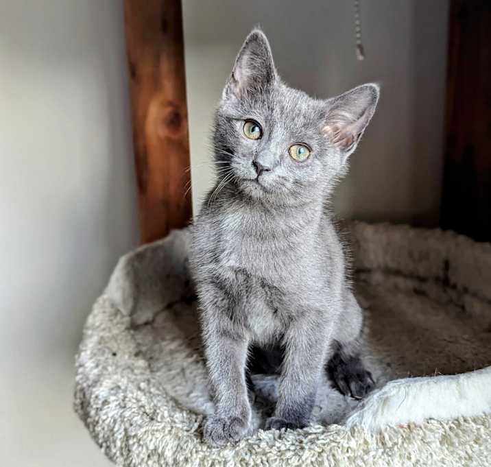 Photo of Little My