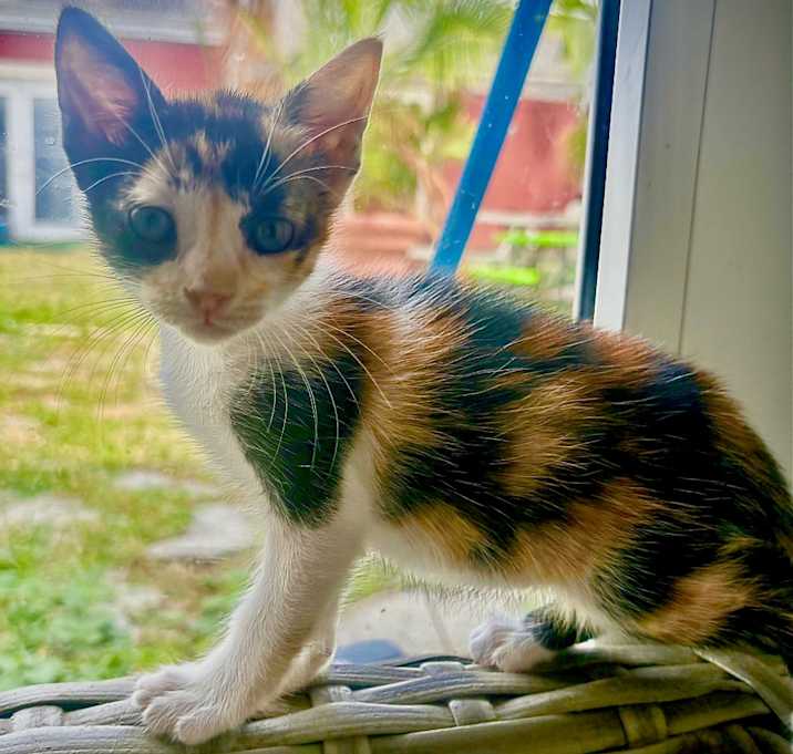 Photo of Francine