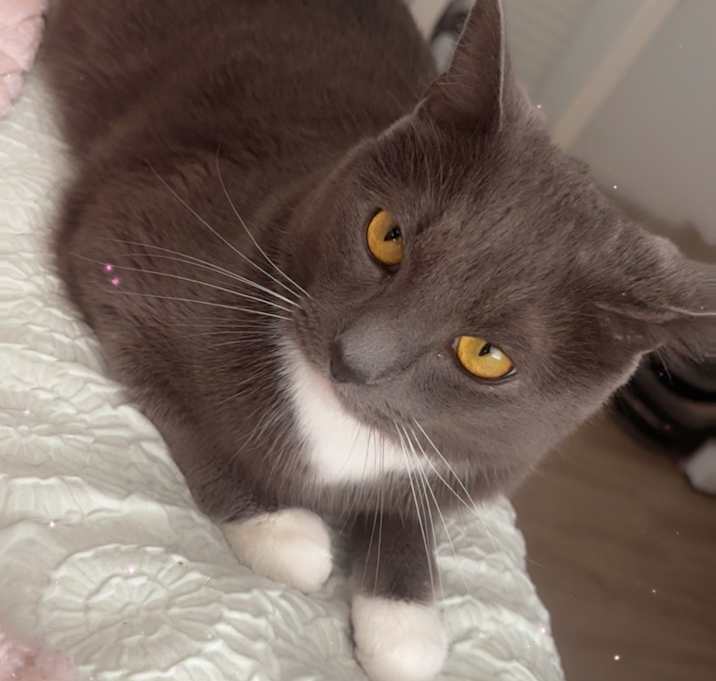 Photo of Reo