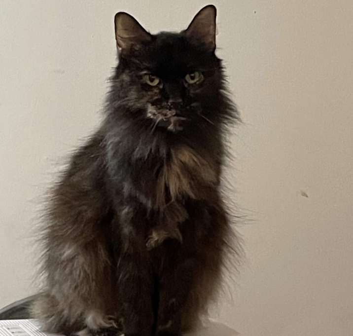 Photo of Skylar