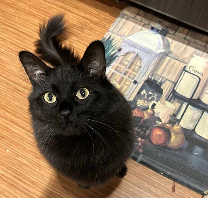 Photo of Boba