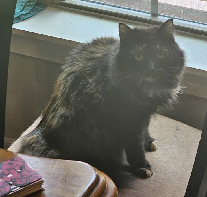Photo of Alice