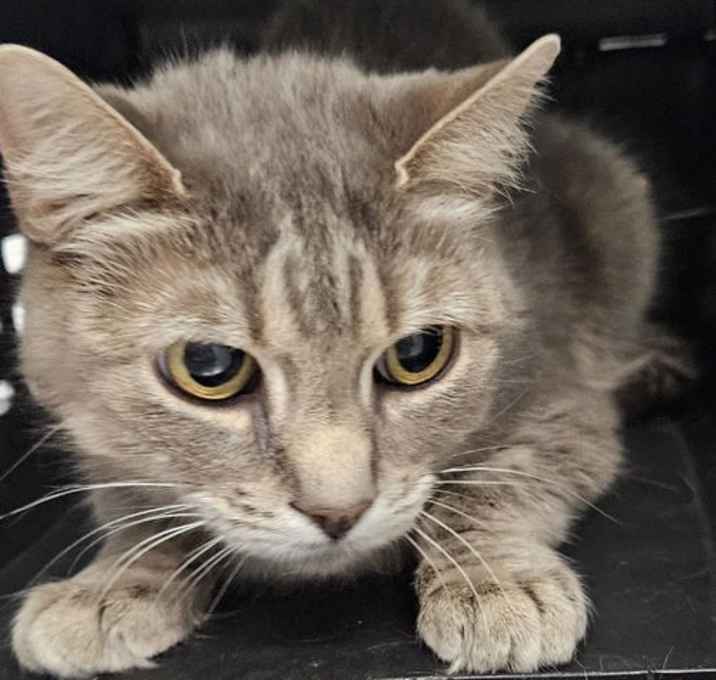 Photo of Alice