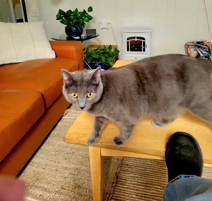 Photo of Perry