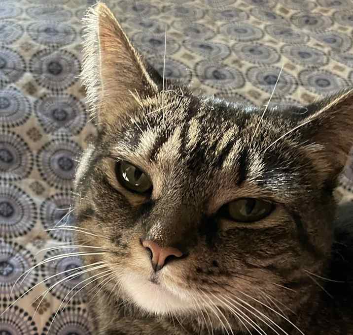 Photo of Lucy