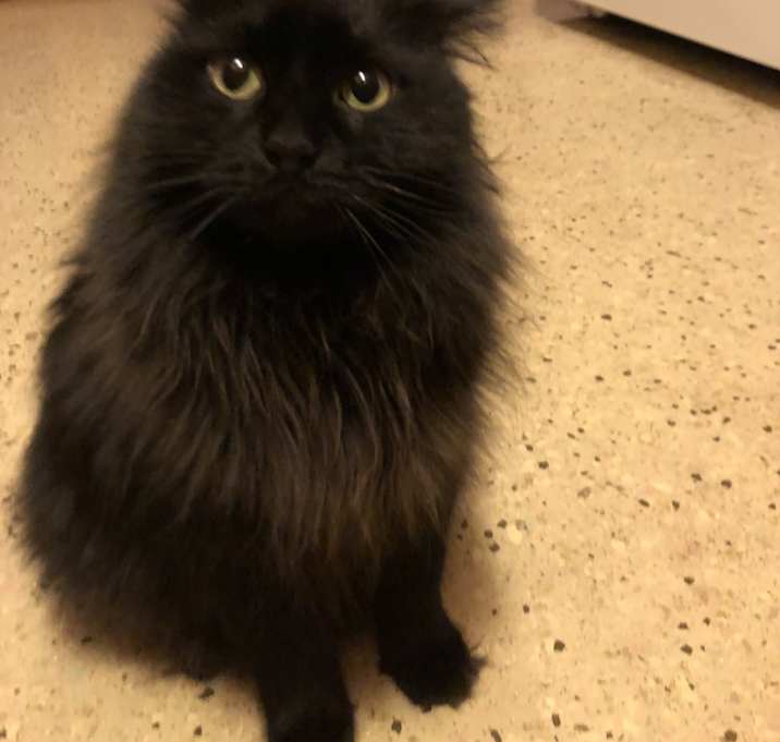 Photo of Cecil