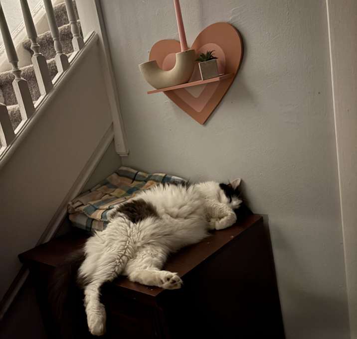 Photo of Poptart