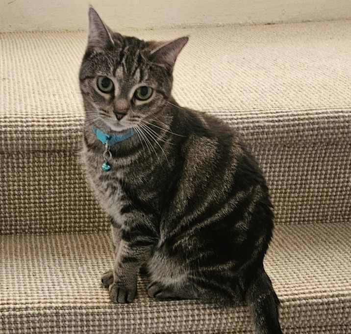 Photo of Fiona