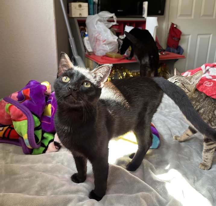 Photo of Mavis