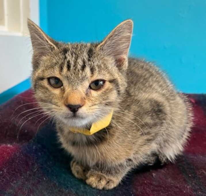 Photo of Hazel