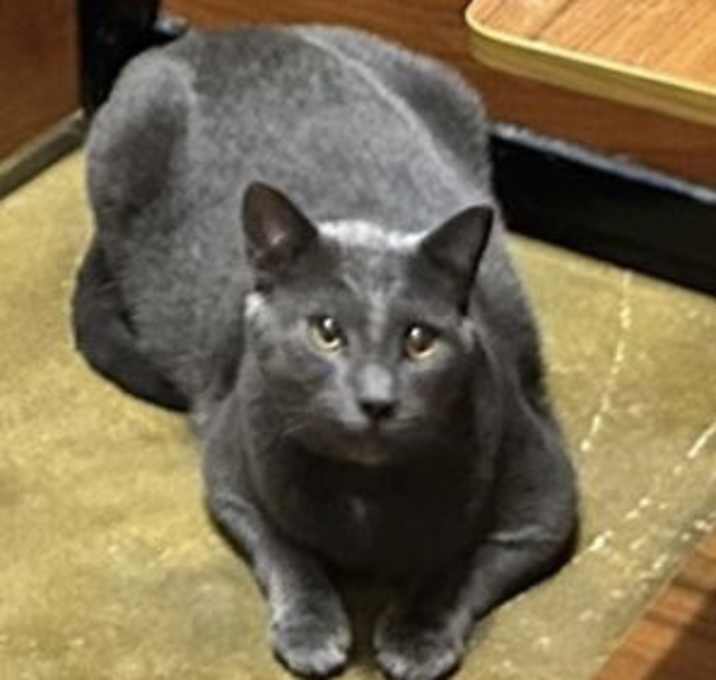 Photo of Kiff