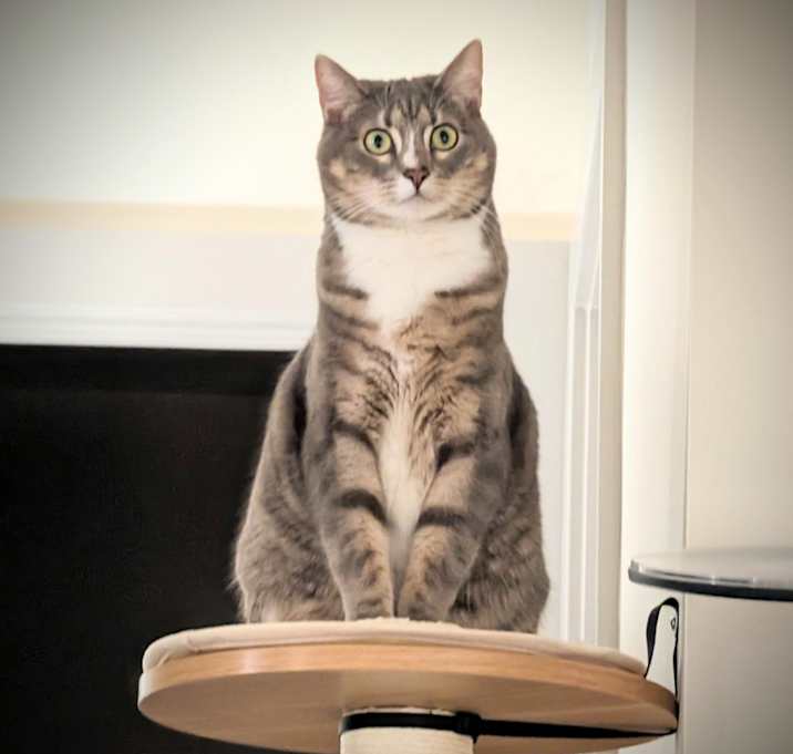 Photo of Sigyn