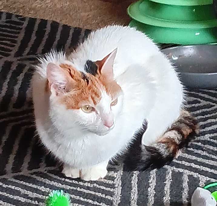 Photo of Babygirl