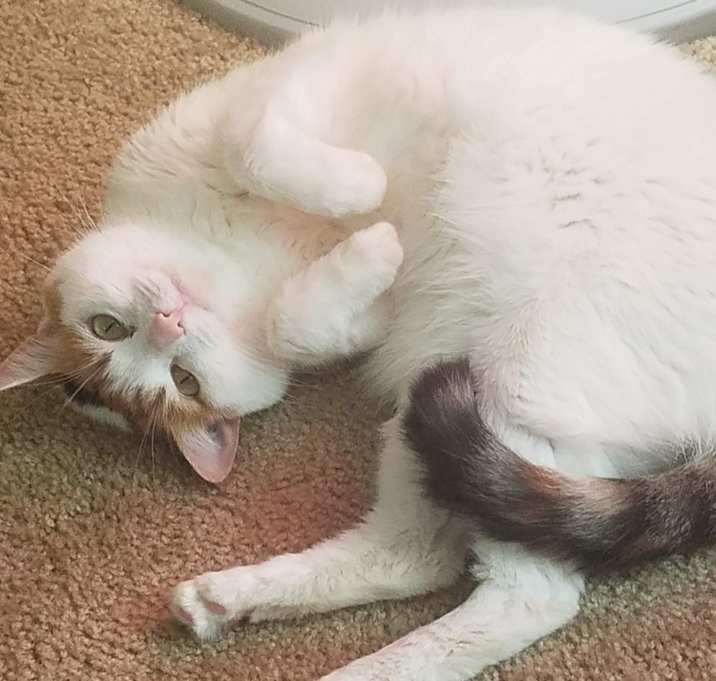 Photo of Babygirl