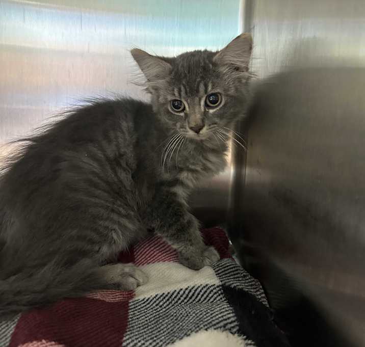 Photo of Turbo