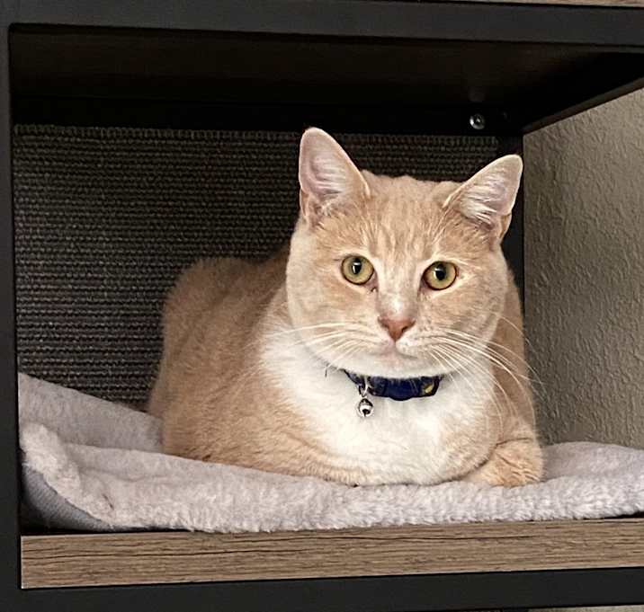 Photo of BMO