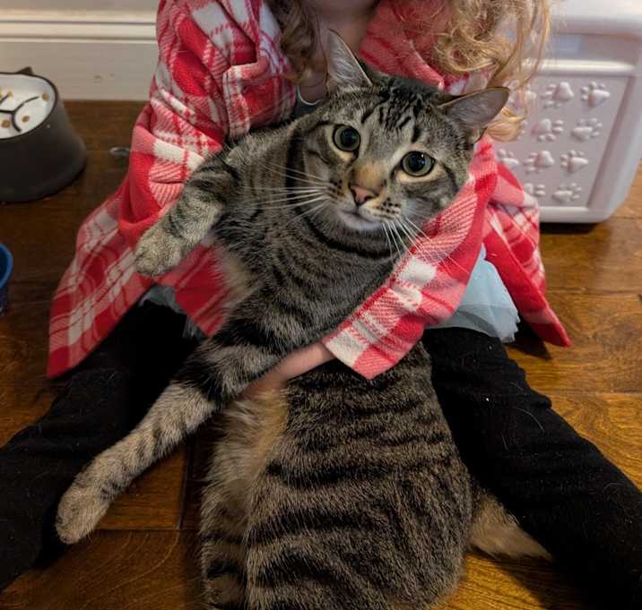 Photo of Steven